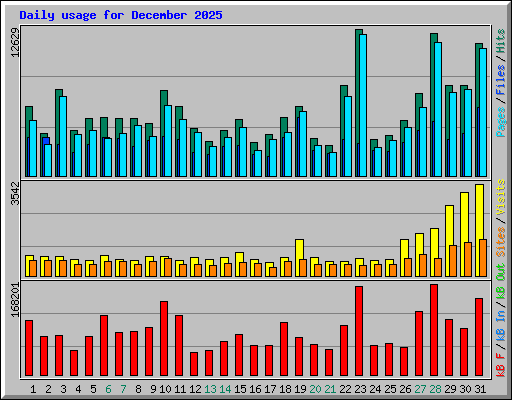 Daily usage for December 2025