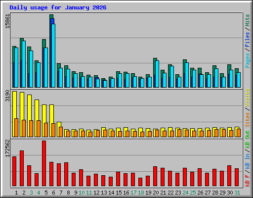 Daily usage for January 2026