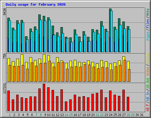 Daily usage for February 2026