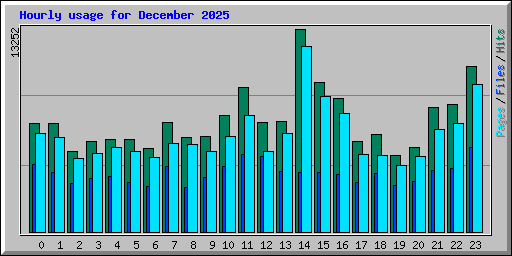 Hourly usage for December 2025