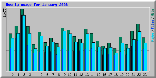 Hourly usage for January 2026