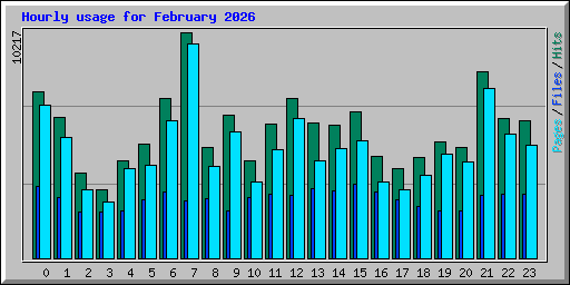 Hourly usage for February 2026