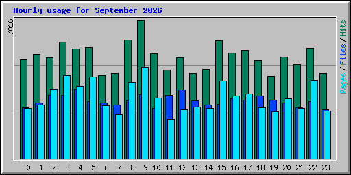 Hourly usage for September 2026